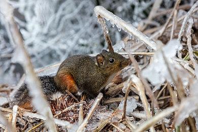 虚幻引擎5自制《反恐精英》DUST2地图视频展示